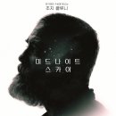 스카이일레븐