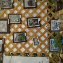 유진세차장 이미지