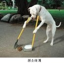 미소 이미지