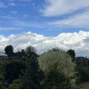 비고도랩스 이미지