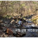 약수터 옆 | 강원도 홍천 가볼만한곳 국립 삼봉 자연휴양림 삼봉약수터 산책 힐링 후기