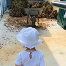 후니농장 이미지