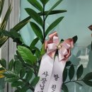 1번가부동산공인중개사사무소 이미지