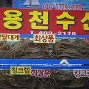가락활어회센터