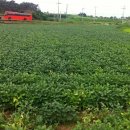 우람농장 이미지