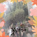 멍멍이랑 사랑하기 | 2025.9월