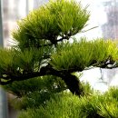 카페산바다 이미지