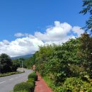 예래동 가가동 이미지