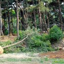 장평동주민자치센터 이미지