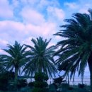 해가뜨는 성산에서 이미지