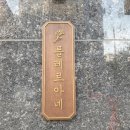 플레르아네 네이버블로그