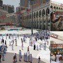 CRANE WORLD 이미지