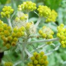 서곡초등학교 이미지