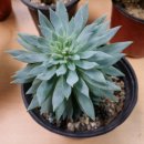 기쁨이네농장 이미지