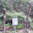 장군태권도장 이미지