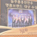 늘푸름개발 이미지