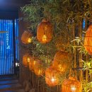 탑실로 35번길L | 맛집] 도심 속 센과 치히로의 행방불명? 몽환적인 대나무 숲과 도넛 샤브샤브의 향연, 이자카야 '구주'후기