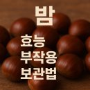 밤