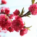 금산수도공사