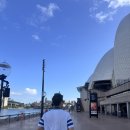 공설테니스장 | 🎾 호주에서 테니스 치기 | 호주오픈 보러 갔다가 직접 코트까지 빌려 쳐본 후기 + 예약 방법 완벽 가이드