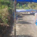 아포아구찜 이미지