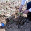 참나무한의원 이미지