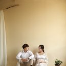 베이비킹스튜디오 - 제주시 오남로 82 | 베이비킹스튜디오