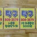 금천탁구교실 Daum카페