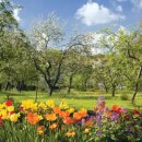 에이블짐 한양대점 이미지