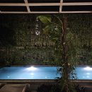 호텔문 | 태국 치앙마이 문드래곤호텔 숙박 후기 | 치앙마이숙소추천 치앙마이여행 치앙마이호텔