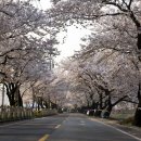 용연사길 이미지