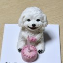 댕파티셰 | 인천 강아지 케이크 ‘댕파티셰’ 후기 / 디테일 장인이 여기 계셨네요..