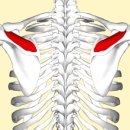 하트핏 휘트니스 이미지