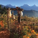 망고성인PC 이미지