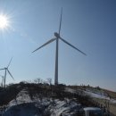 별빛목장 이미지