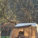 몽돌밭북쪽화장실 이미지