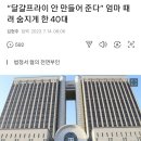 “달걀프라이 안 만들어 준다” 엄마 때려 숨지게 한 40대 이미지