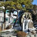 정선읍사무소 이미지