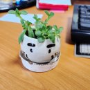 엘 코인노래연습장 이미지