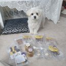 하이뭉하 이미지