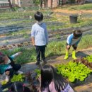 안양관악초등학교 이미지