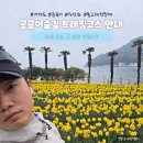 87 | 거제도 트레킹 코스 공곶이 숲길 수선화와 돌고래 전망대