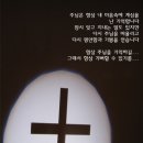 모세사 이미지
