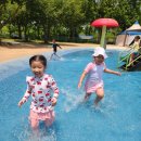 수성패밀리파크 Daum카페