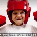 동양킥복싱MMA 이미지