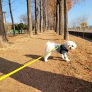 율하체육공원 공중화장실 이미지