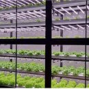 첨단농장 이미지