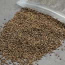 와포햇살 영농조합법인 이미지