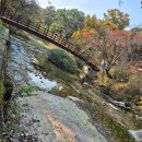 안양농장 | "58년 만에 열린 비밀의 숲, 서울대 안양 수목원 첫 방문 후기"