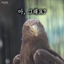 룸의정석